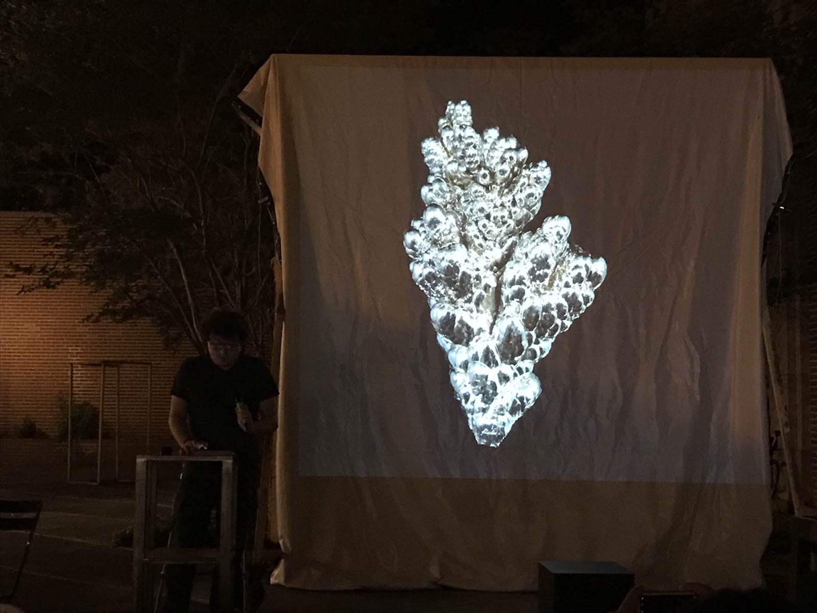A projected image of some organic growth structure on a loosely draped screen in a brick courtyard at night.