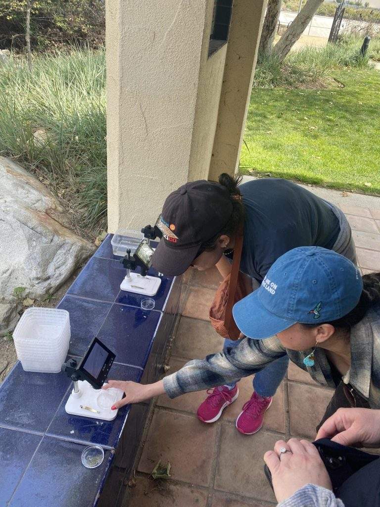 A couple people look at portable microscopes set up on a tiled bench outside.