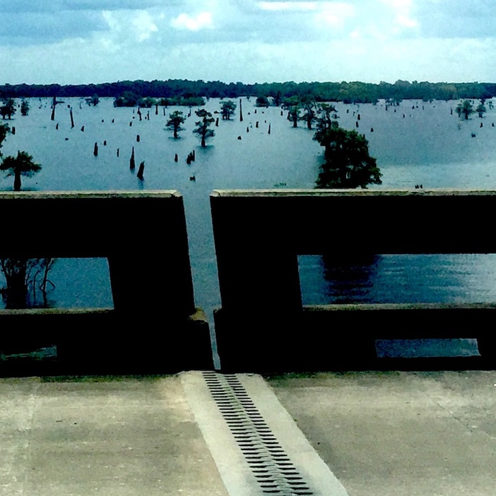 View from an elevated concrete highway over a watery landscape with trees emerging out of calm water. Thick clouds hang overhead.