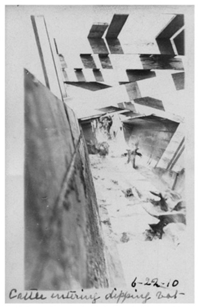 An old black-and-white photograph of indistinct shapes.