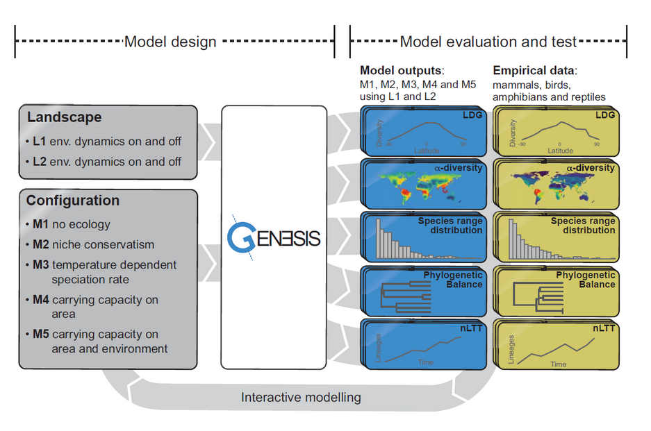 Interactive model of the Genesis project