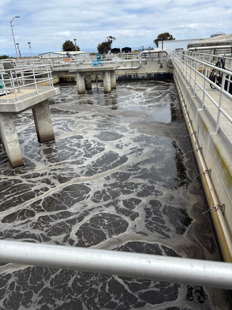 A large concrete tank holds foamy brown water.