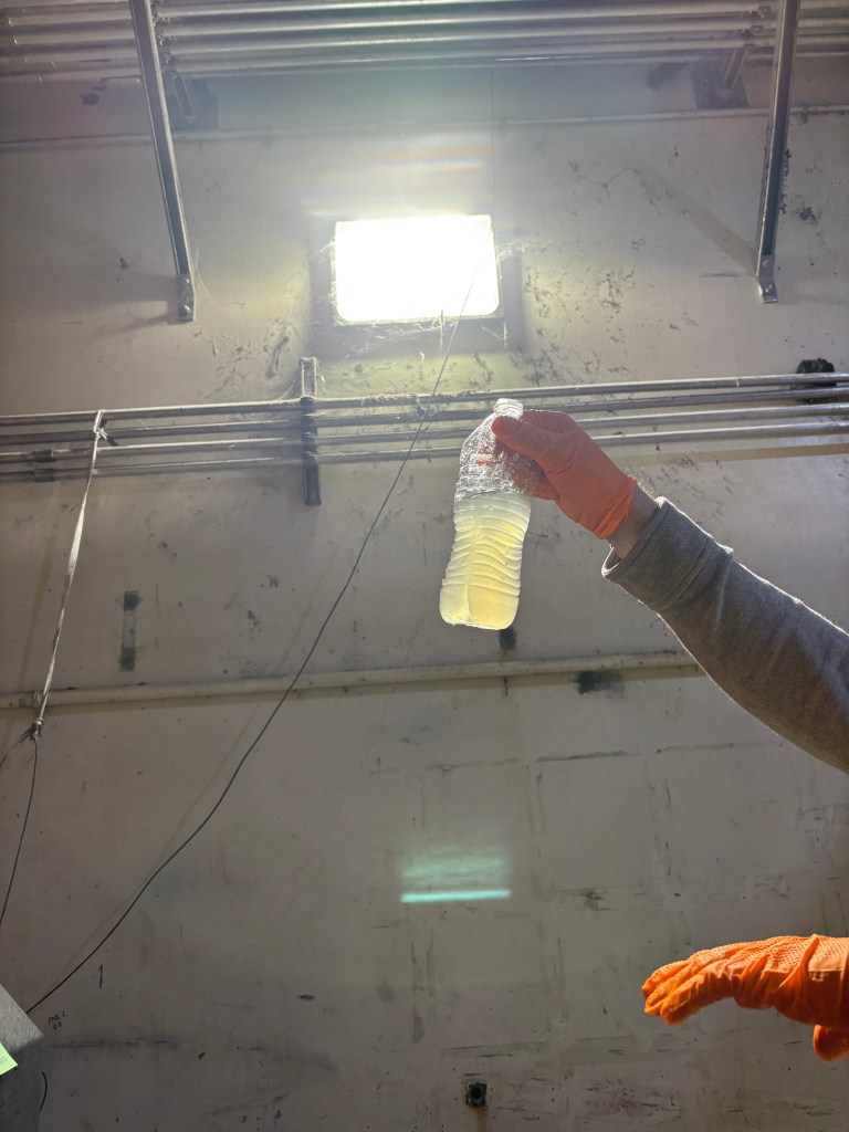 A gloved hand holds up in front of a light a plastic water bottle filled halfway with discolored water.